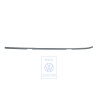 VW Original Profil De Pavillon Couche De Fond - 6K0853701C GRU