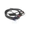 VW Original Cablage De Bv Automatique A 4 Rapports - 701971774H