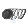 VW Original Grille Ornamentale Noir Satine - 7L9853684 B41