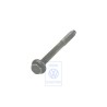 VW Original Vis 6 Pans A Embase - N 10217001