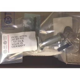 VW Original Barillet Pour Trappe Arriere Dans La Partie Laterale - 245829593