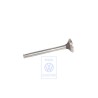 VW Original Soupape D'Echappement - 030109611A