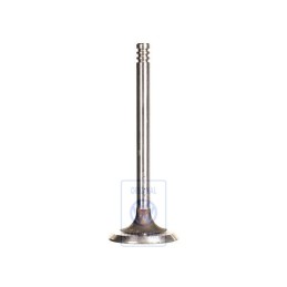 VW Original Soupape D'Admission - 030109601L