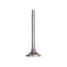 VW Original Soupape D'Admission - 030109601L
