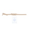 VW Original Enjoliveur De Seuil De Porte Beige Pur - 1K4853371D 7G8