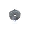 VW Original Poulie Crantee - 036105263G