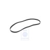 VW Original Courroie Multipistes - 047903137F