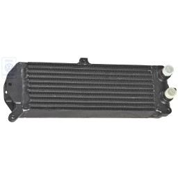 VW Original Radiateur D'Huile - 183117021