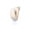VW Original Patere Beige Cornsilk - 1K0857635 95T