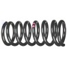 VW Original Ressort Helicoidal Traits Couleur Violet - 251411105F 952