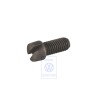 VW Original Vis De Reglage - 311609209